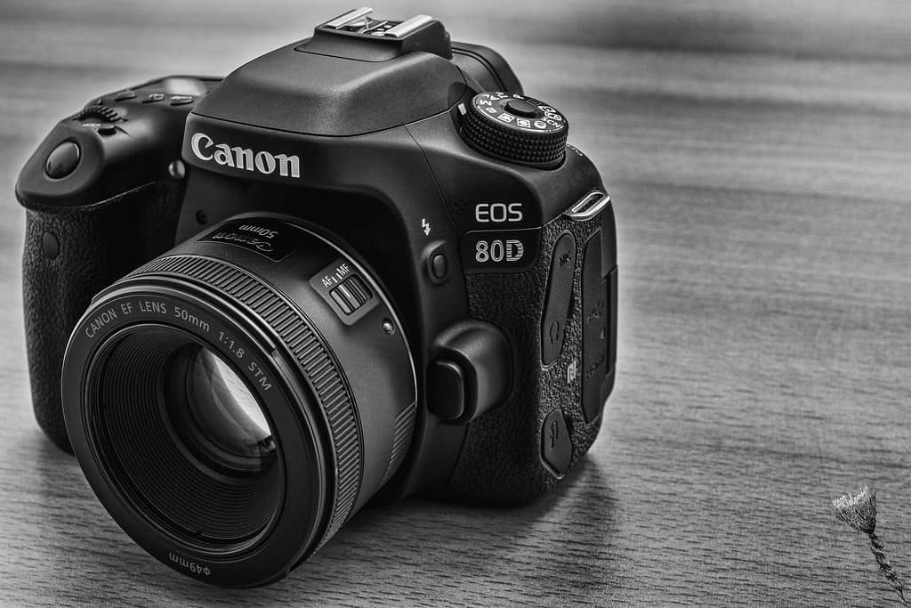 Canon 80d. Canon 80d + Canon 50mm 1/8. Canon EOS 50d Kit. Фотокамера Кэнон 50 д. Canon 80d + 50mm 1.4.