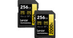 256GB Professional 2000x UHS-II SDXC Memory Card - Image 2
